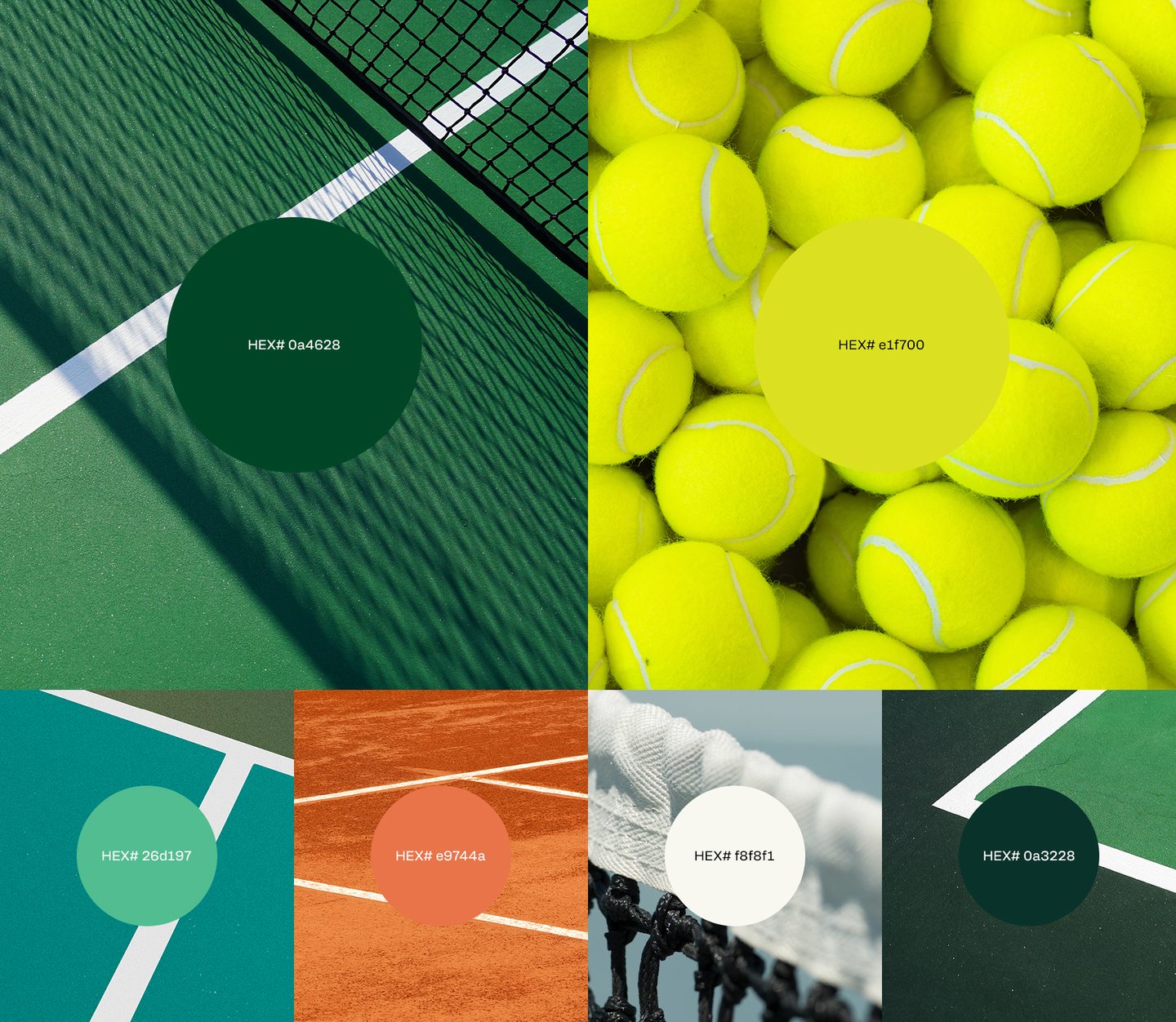 courtsapp-5
