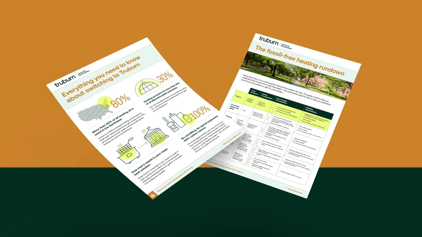 LRI Collateral Mockups