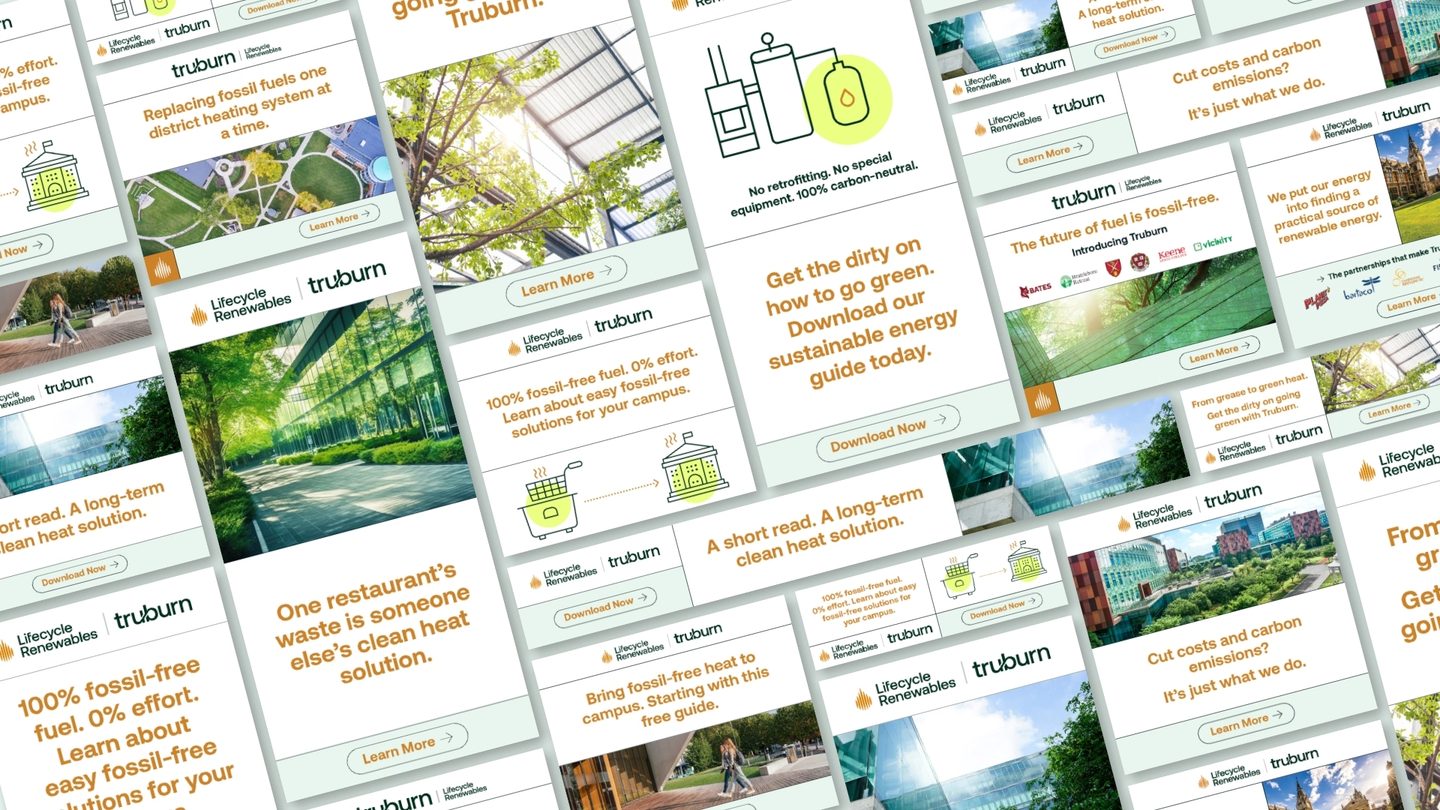 LRI Display Mockups